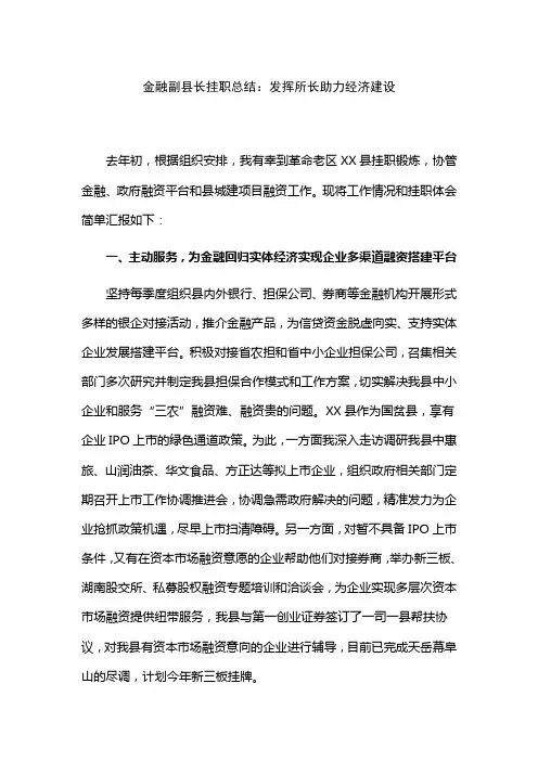 金融副县长挂职总结：发挥所长助力经济建设