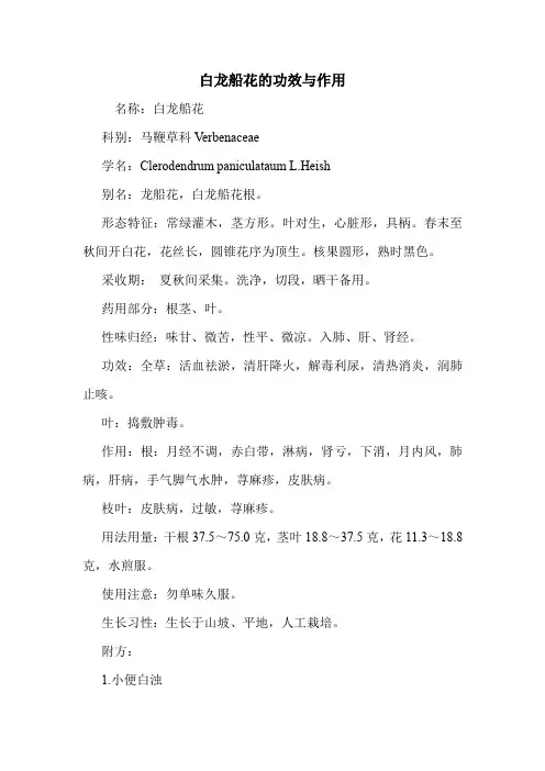 新编医药常识白龙船花的功效与作用