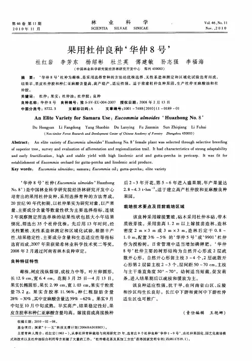 果用杜仲良种‘华仲8号’