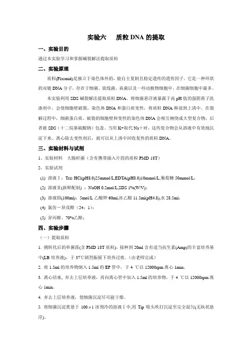 质粒DNA的提取实验