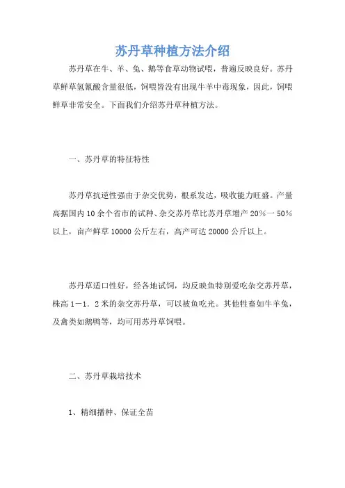 苏丹草种植方法介绍