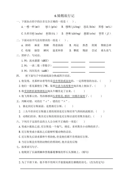 【配套精品课时练】人教部编版六年级语文下册同步练习6《骑鹅旅行记》(含答案)