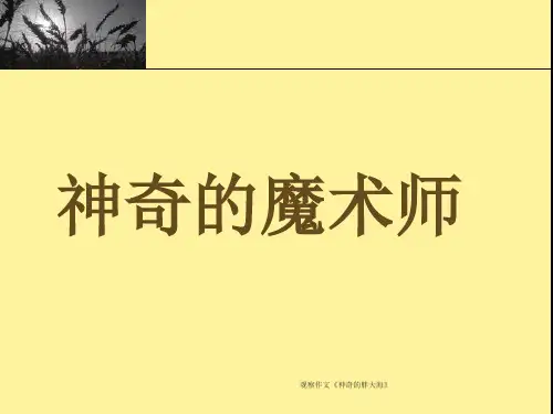 观察作文《神奇的胖大海》 ppt课件