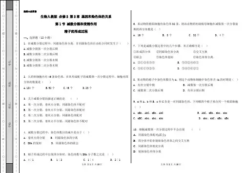 人教版必修二  减数分裂和受精作用作业