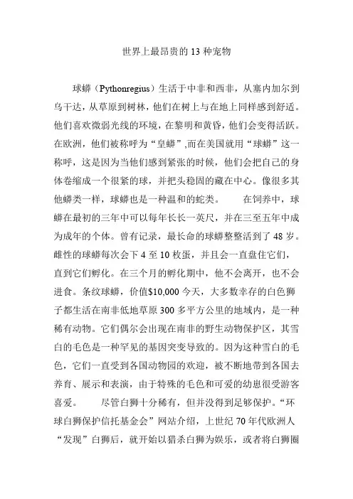 世界上最昂贵的13种宠物