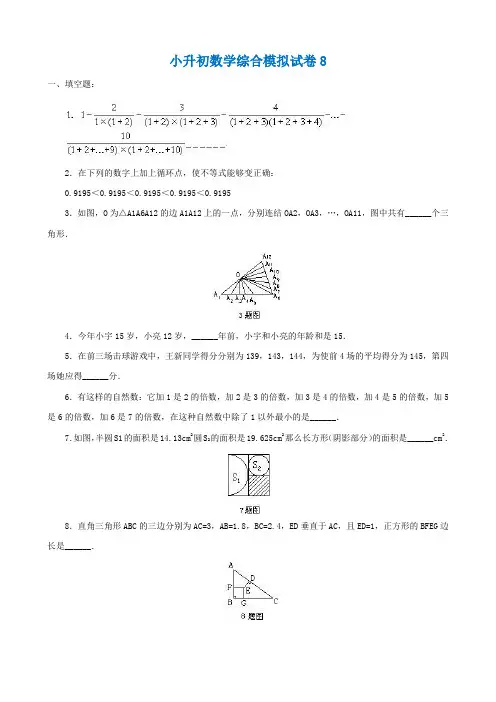 2018-2019德州市小学毕业数学总复习小升初模拟训练试卷8-9(共2套)附详细试题答案