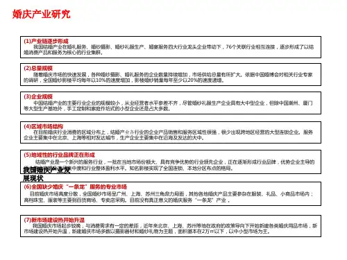 婚庆产业案例研究01 共22页