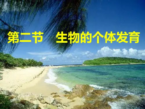 一 被子植物的个体发育PPT课件