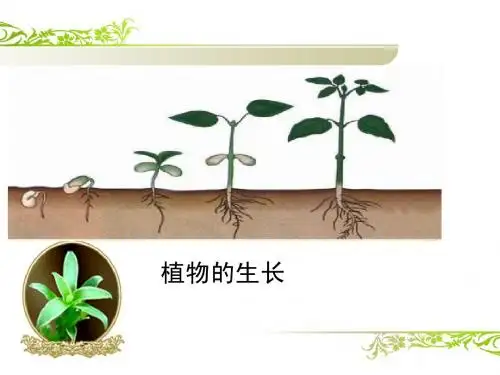 初一下生物 《细胞的分裂和分化》