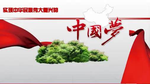 实现中华民族伟大复兴的中国梦ppt课件