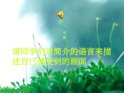 《渴望春天》音乐