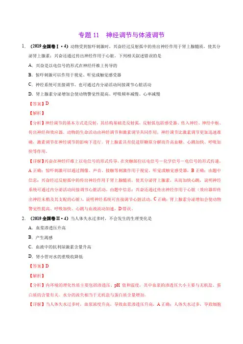 高考复习专题11  神经调节与体液调节