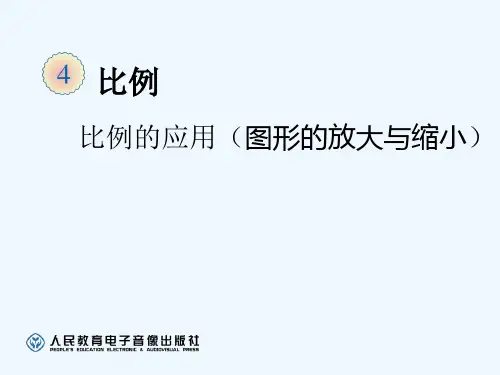 六年级下册-图形的放大和缩小