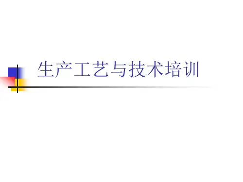 生产技术与工艺培训(PPT45页).pptx