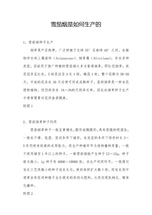 雪茄烟是如何生产的