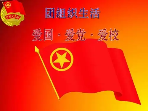 团组织生活PPT