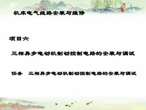 6 三相异步电动机制动控制电路