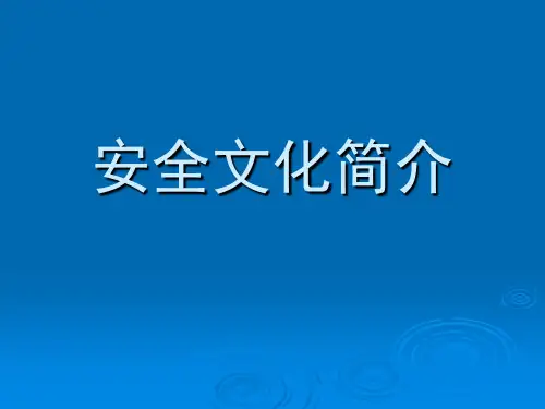 安全文化1