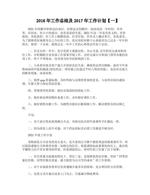 2016年工作总结及2017年工作计划