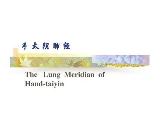 手太阴肺经