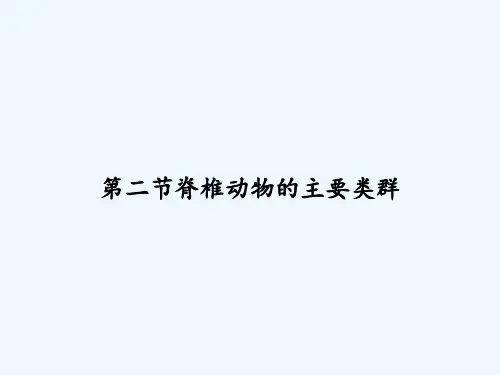第二节脊椎动物的主要类群 PPT