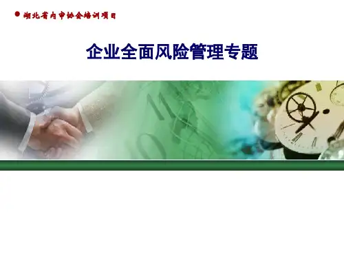 企业全面风险管理专题ppt课件