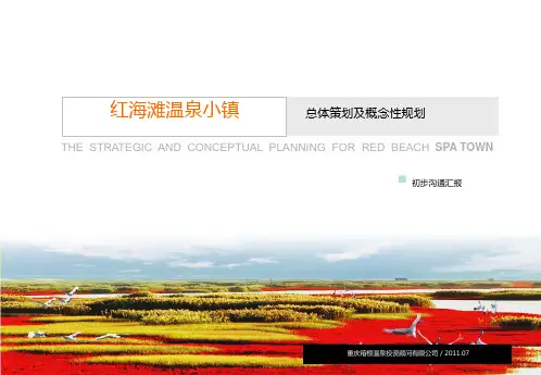 某温泉小镇总体策划及概念性规划教材PPT(87张)