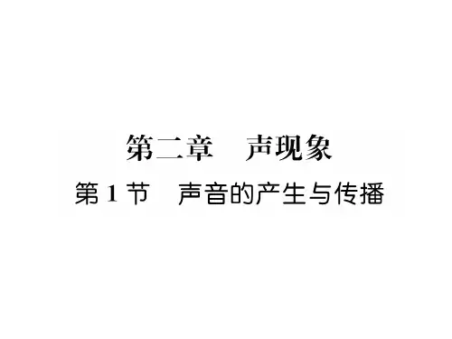 第1节 声音的产生与传播