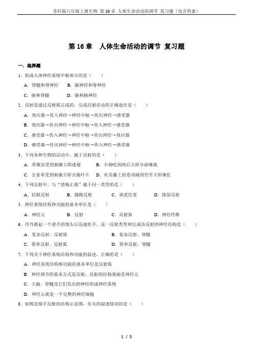 苏科版八年级上册生物 第16章 人体生命活动的调节 复习题(包含答案)