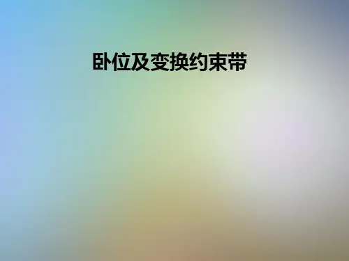 卧位及变换约束带