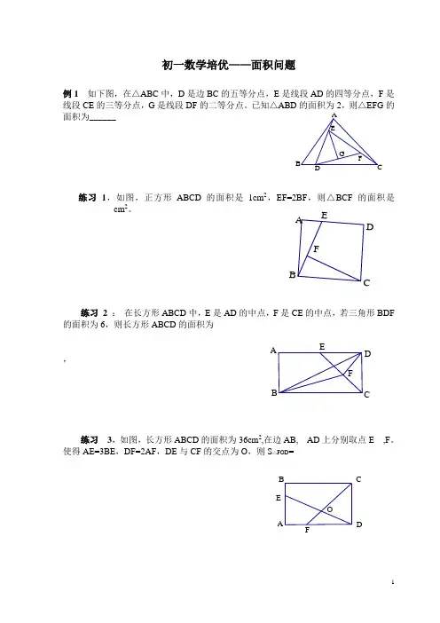 初一数学培优