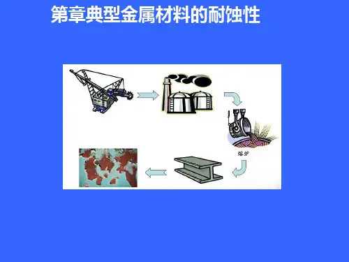 典型金属的耐蚀性