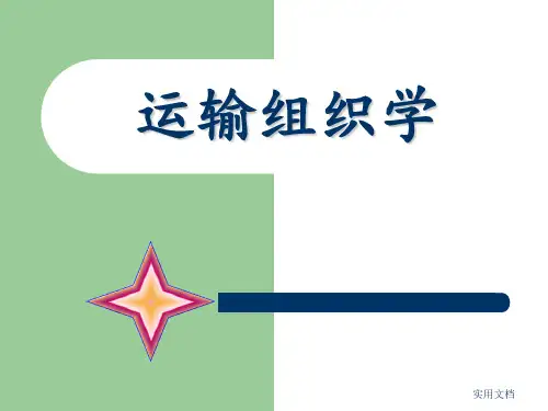 运输组织学