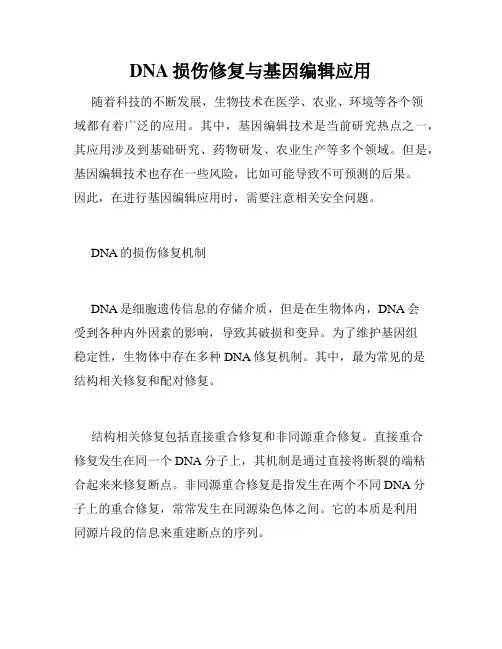 DNA损伤修复与基因编辑应用