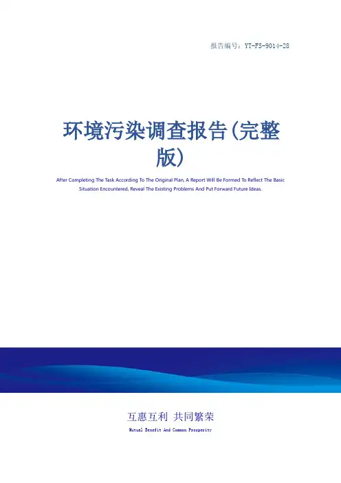 环境污染调查报告(完整版)