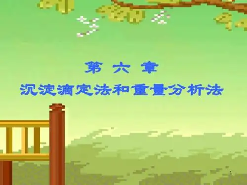 分析化学第六章-沉淀滴定