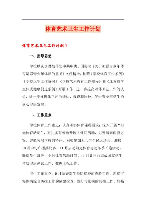 体育艺术卫生工作计划