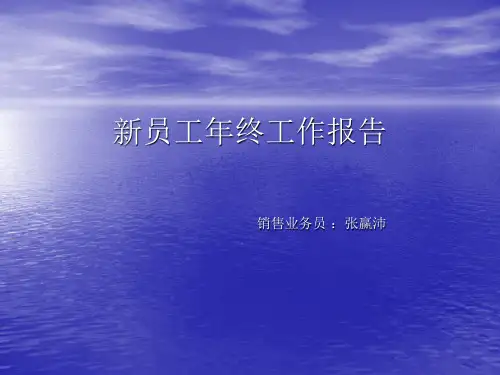 新员工工作报告.ppt