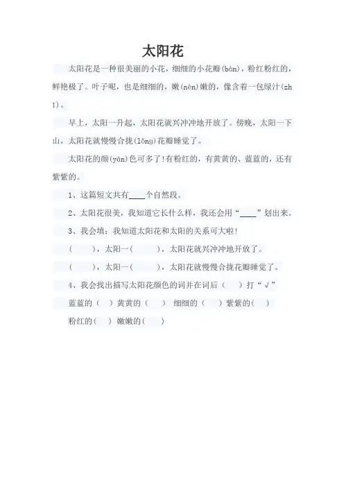 太阳花