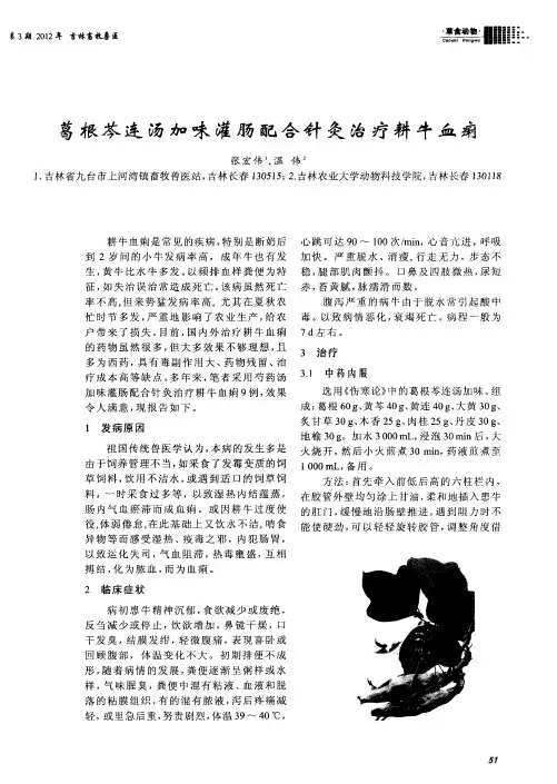 葛根芩连汤加味灌肠配合针灸治疗耕牛血痢