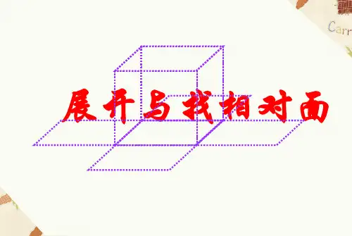 《正方体展开与找相对面》ppt课件