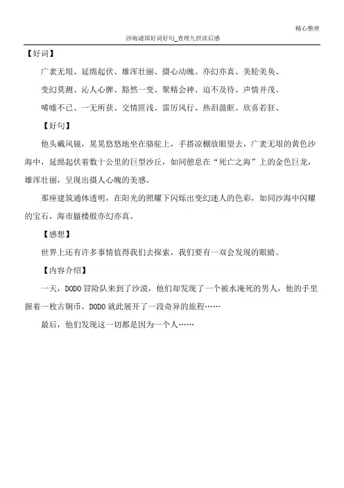 沙海谜国好词好句_查理九世读后感