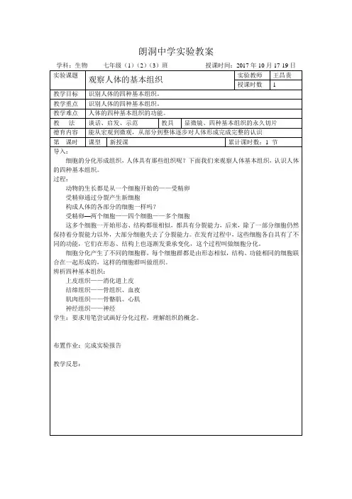 观察人体的基本组织