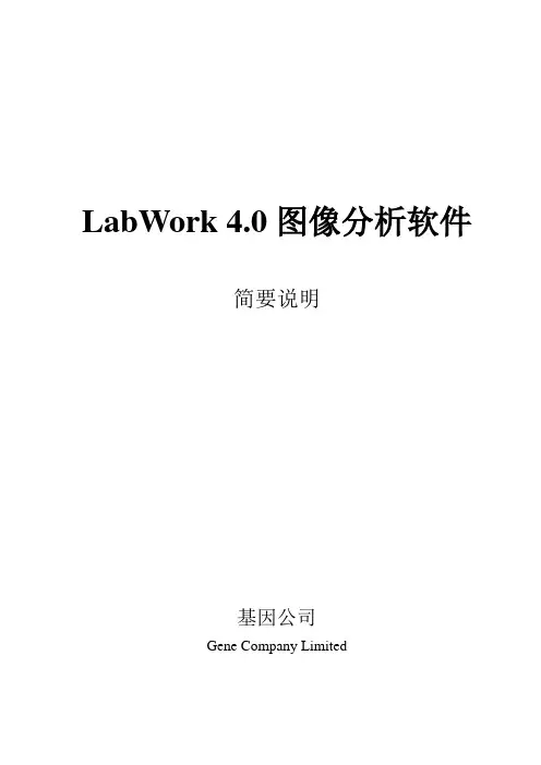 LabWork 4.0图像分析软件