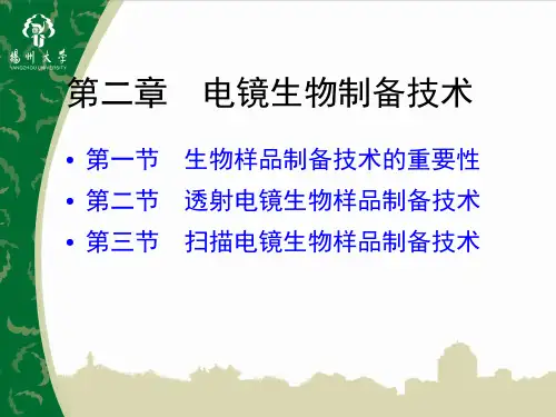 透射电镜生物制样技术