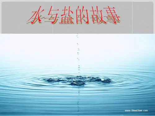 三年级科学下册 把盐藏起来课件2 大象版