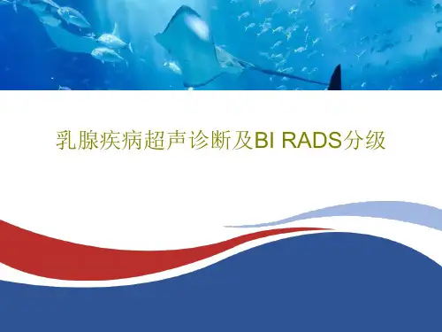 乳腺疾病超声诊断及BI RADS分级65页PPT