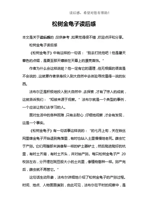 松树金龟子读后感