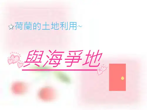 荷兰的土地利用