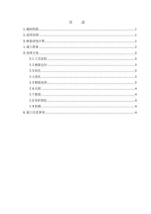 植筋专项施工方案